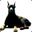 doberman_ppc_pzdc