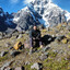 fabiow-