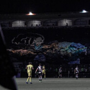 WtQ - D A   F I R M A