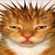 Gingk™