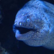 Warchylduk's Avatar