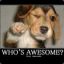 яĿ ж  The awesome1