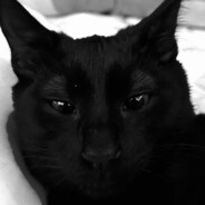 Toshiro - steam id 76561198964086083