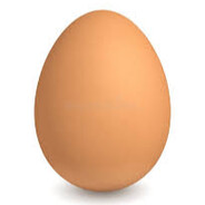Egg.