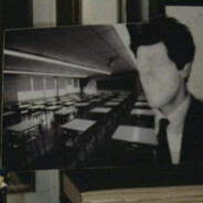 伯乐的好马（宝）