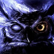 Owl_