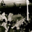 dancinghorse517