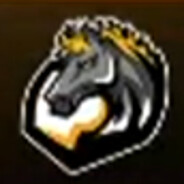 QN_AmazonExportDrezno