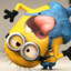 MINION MALUCO
