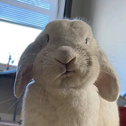 Tort's avatar