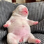 WashMyBelly <3