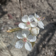 There's no deadline*