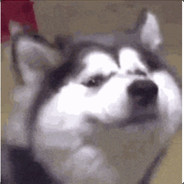 铜锣湾海龟道人