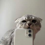 ёбанный дандарик