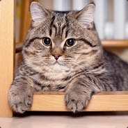 писос - steam id 76561197964358923