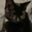 mols