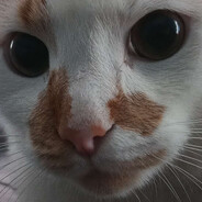 MinibotWiciu415 avatar