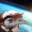 Avian Hegemony