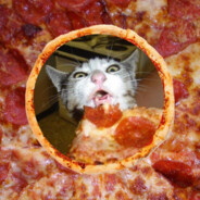 PzzaPreston