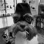 Bungle