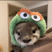 维新派理塘顶针