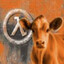 cow's avatar