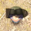 трусики парадокс's avatar