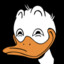io | Ducksplain