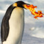 FierPenguin