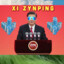 Xi ZYNping