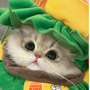 巨无霸天才之神