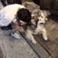 也会清醒当迷醉