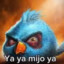 ya ya mijo ya