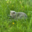 Worried obout