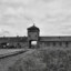 Sweet Home of Jews：Auschwitz