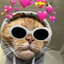 Bamsebjørn &lt;3