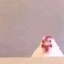 чечил