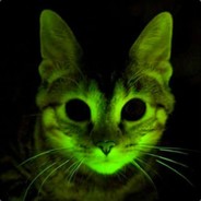 1337Cat