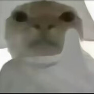 威风的龙！！！