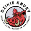 dk shzye`