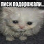 доги стайл