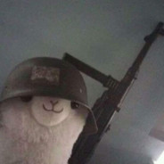 Alpaca&#039;s ready to shoot ur mum