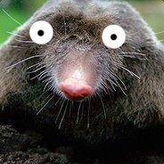 ПусиДестроер - steam id 76561198067495660