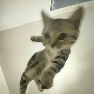 你是一个一个一个