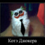 Joker Kot^_^