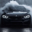 BMW Lover