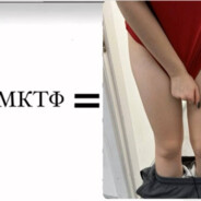 РЕВИЗОР ЧИЗЕТ