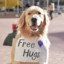 Free Hugs ♥❤♥