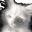 .wisp