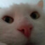 ааааа аааааааааааааа 1!!!!!!!!!!